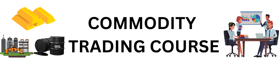 Commodity trading Course in Chennai